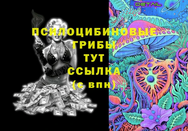 ПСИЛОЦИБИНОВЫЕ ГРИБЫ Алзамай