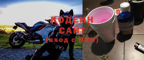 стаф Гусев