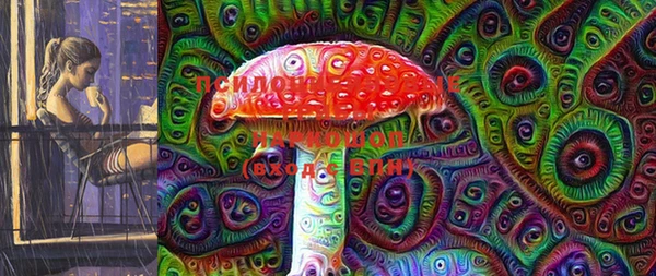 ПСИЛОЦИБИНОВЫЕ ГРИБЫ Алзамай