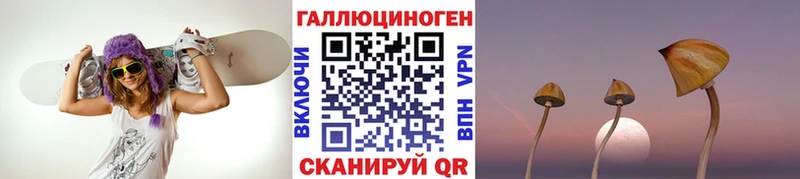 Псилоцибиновые грибы Psilocybine cubensis магазин продажи сайты даркнета формула Алексин